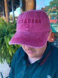 red embroidered Arkansas cap being worn outside in front of a green fern plant