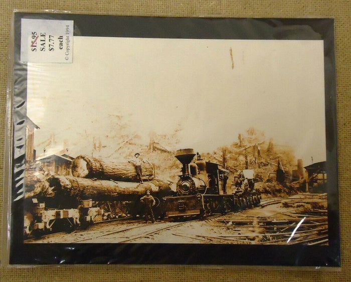 the-old-photo-chest-of-america-10x7-in-prints-qty-4-f 3