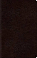 ESV Reference Bible (TruTone, Coffee) cover image (1023774818351)