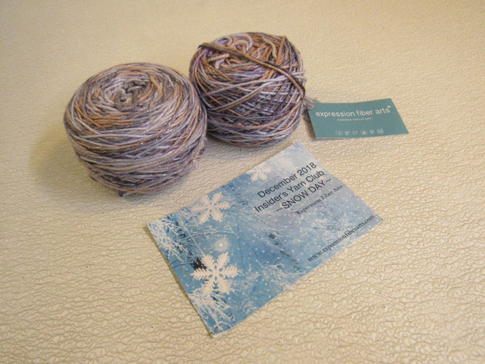 Expression-Fiber-Arts-Sparkle-DK-Yarn-2-Balls-275-Yards-Each-344 1
