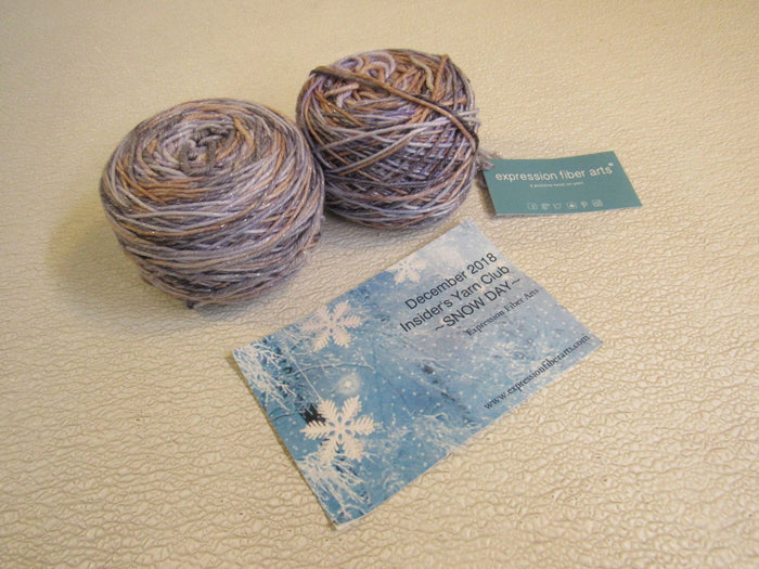 Expression-Fiber-Arts-Sparkle-DK-Yarn-2-Balls-275-Yards-Each-344 2