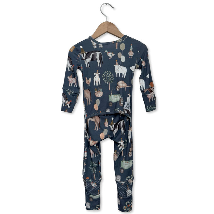 Farm Fiesta Day to Night Romper