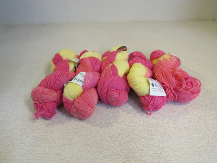 Ivy-Brambles-Superwash-Worsted-Yarn-Tulips-5-Skeins-250-Yards-Each-296 3