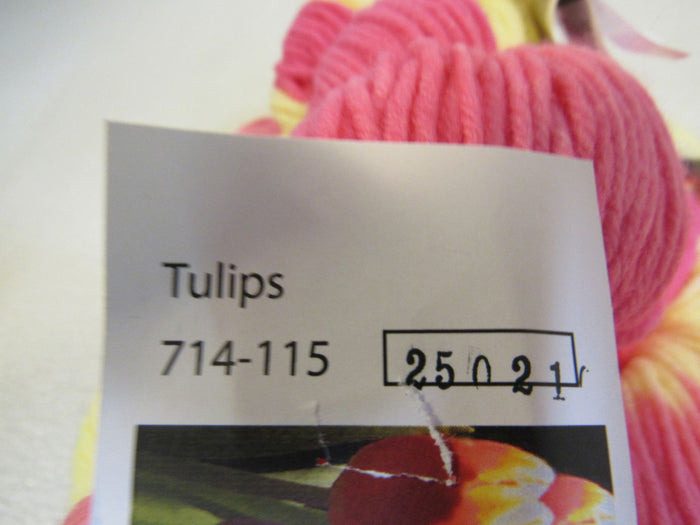 Ivy-Brambles-Superwash-Worsted-Yarn-Tulips-5-Skeins-250-Yards-Each-296 9