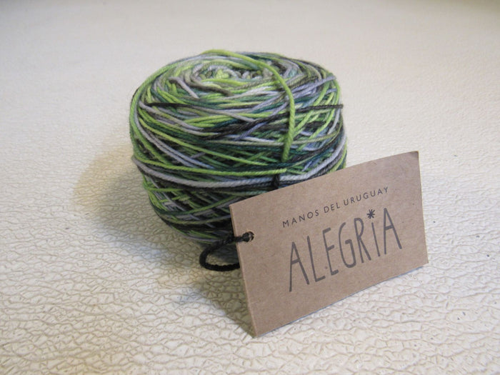 Manos-Del-Uruguay-Alegria-Yarn-Botanico-1-Ball-445-Yards-186 1