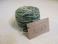 Manos-Del-Uruguay-Alegria-Yarn-Botanico-1-Ball-445-Yards-186 1