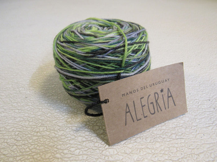 Manos-Del-Uruguay-Alegria-Yarn-Botanico-1-Ball-445-Yards-186 2
