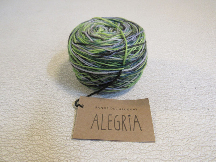 Manos-Del-Uruguay-Alegria-Yarn-Botanico-1-Ball-445-Yards-186 3