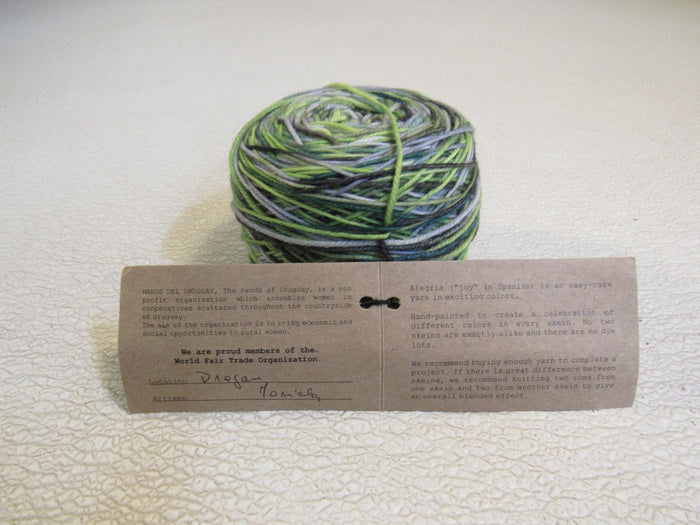 Manos-Del-Uruguay-Alegria-Yarn-Botanico-1-Ball-445-Yards-186 5