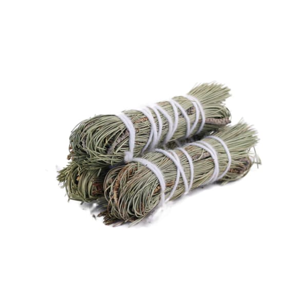 Pine Sage