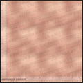 *Pre-Order* Rose Gold Coord