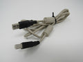 Standard-USB-A-Plug-to-USB-B-Plug-Cable-ft-Male-530 1