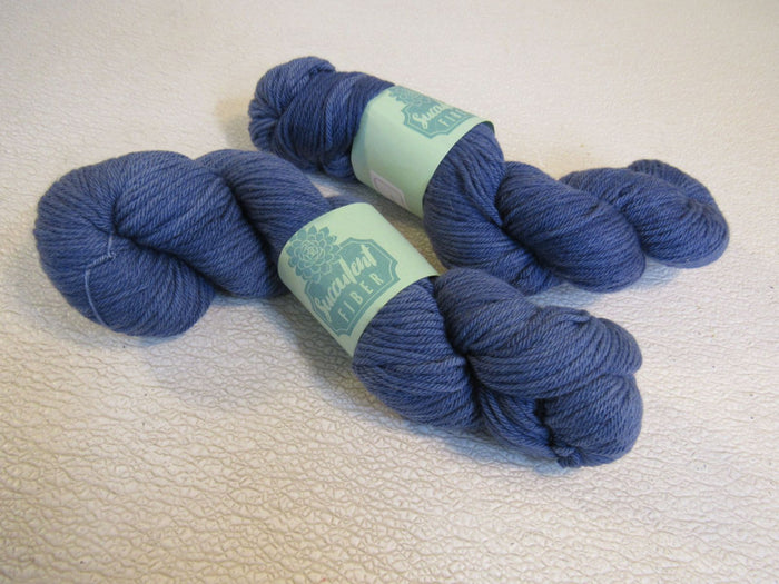 Succulent-Fiber-Worsted-Weight-Yarn-River-Ash-2-Skeins-200-Yards-Each-Blue-416 1