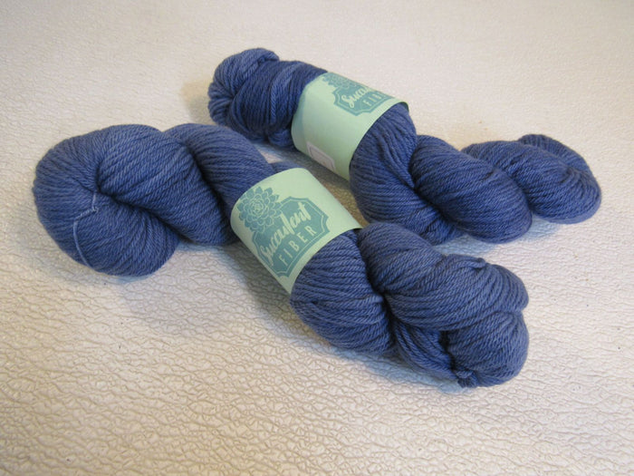 Succulent-Fiber-Worsted-Weight-Yarn-River-Ash-2-Skeins-200-Yards-Each-Blue-416 2
