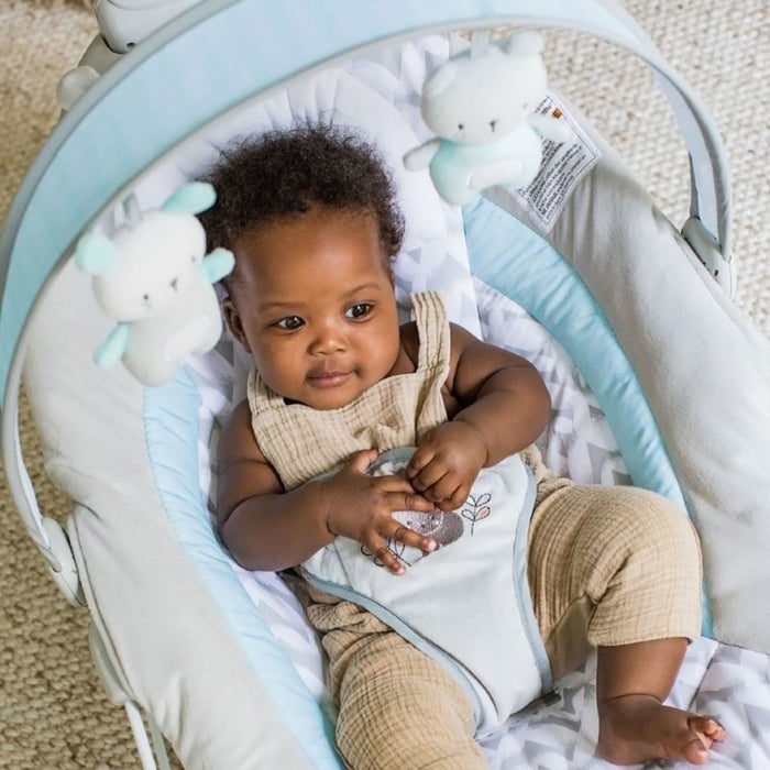 SWING 'N GO PORTABLE SWING | BELLA TEDDY