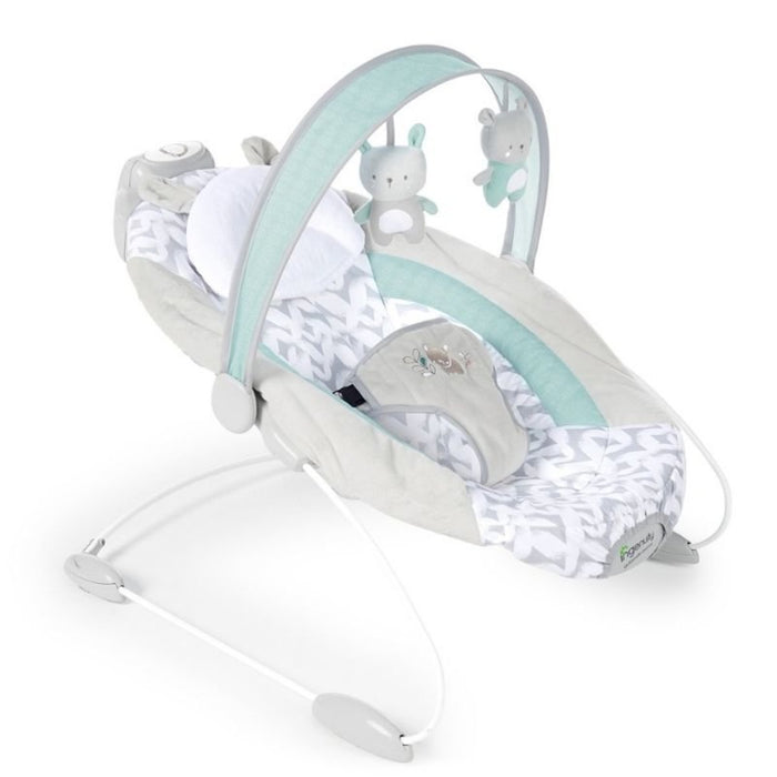 SWING 'N GO PORTABLE SWING | BELLA TEDDY