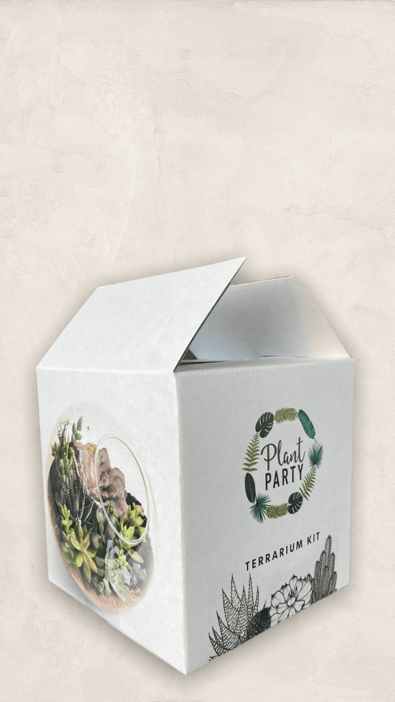 Terrarium Kit