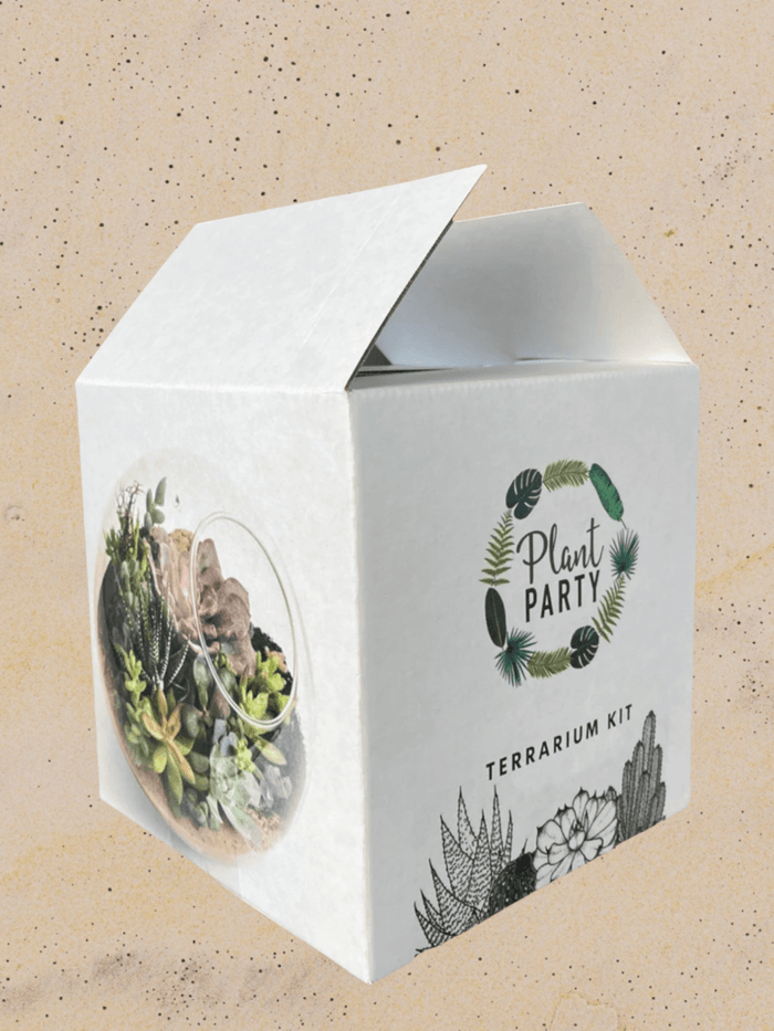 Terrarium Kit
