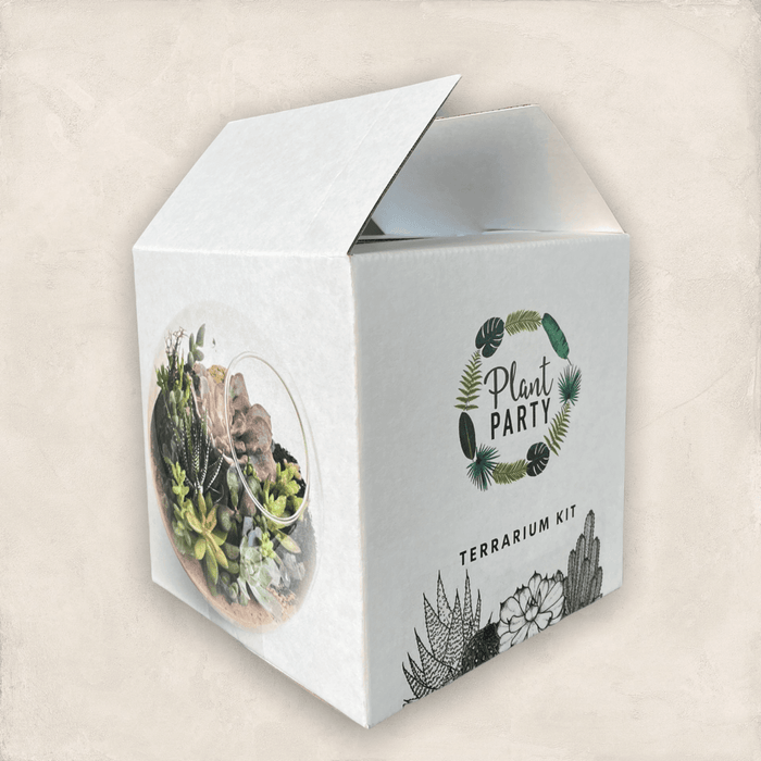 Terrarium Kit