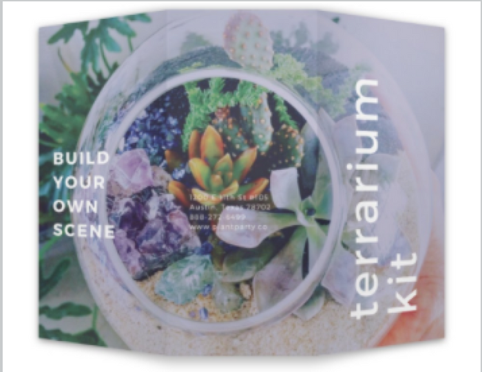 Terrarium Kit