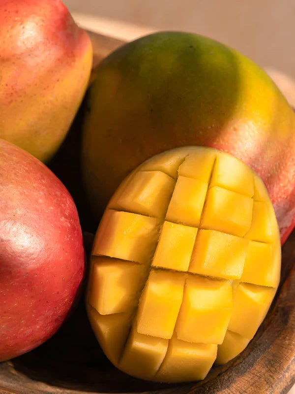 Tommy Bahama Pura Collection: Maui Mango