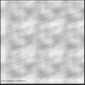 VINYL *Pre-Order* Silver Coord