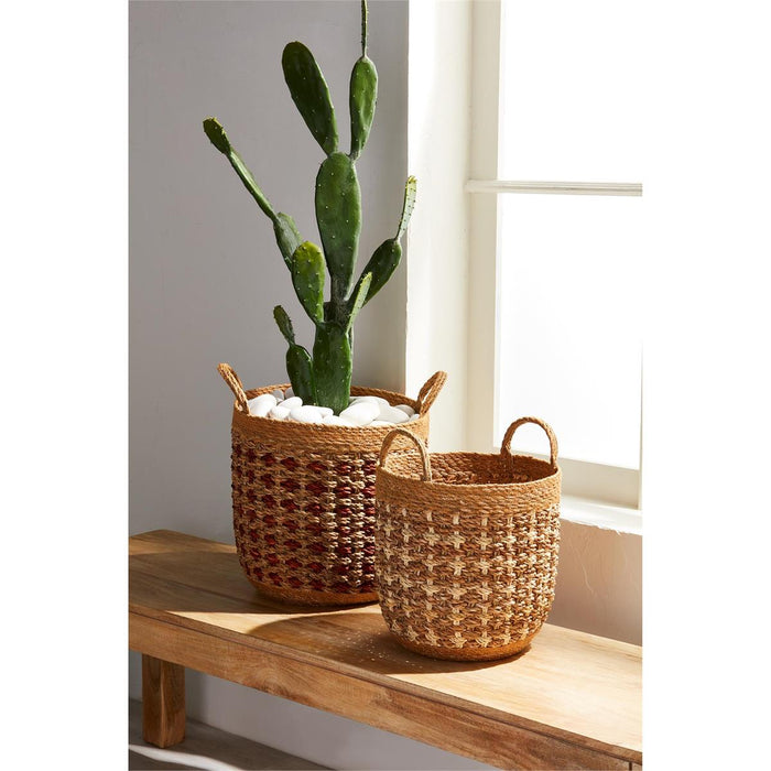 Cactus in a woven basket on a wooden surface with a window in the background